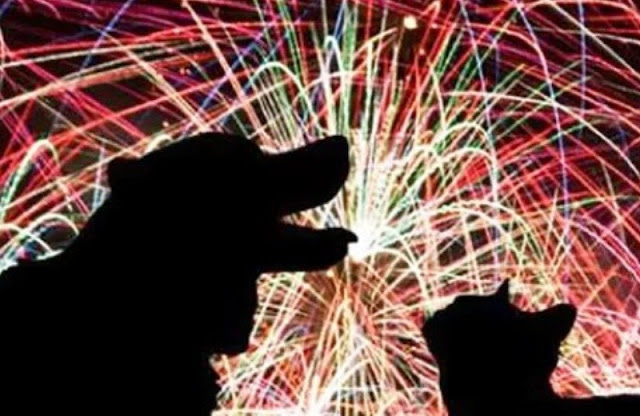 Itália decide usar fogos de artifício silenciosos para não perturbar os animais durante as festas