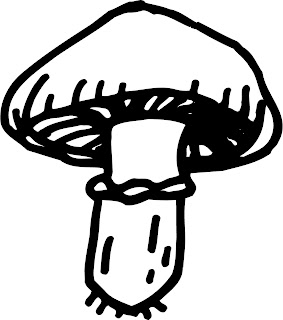 Mushroom Photos
