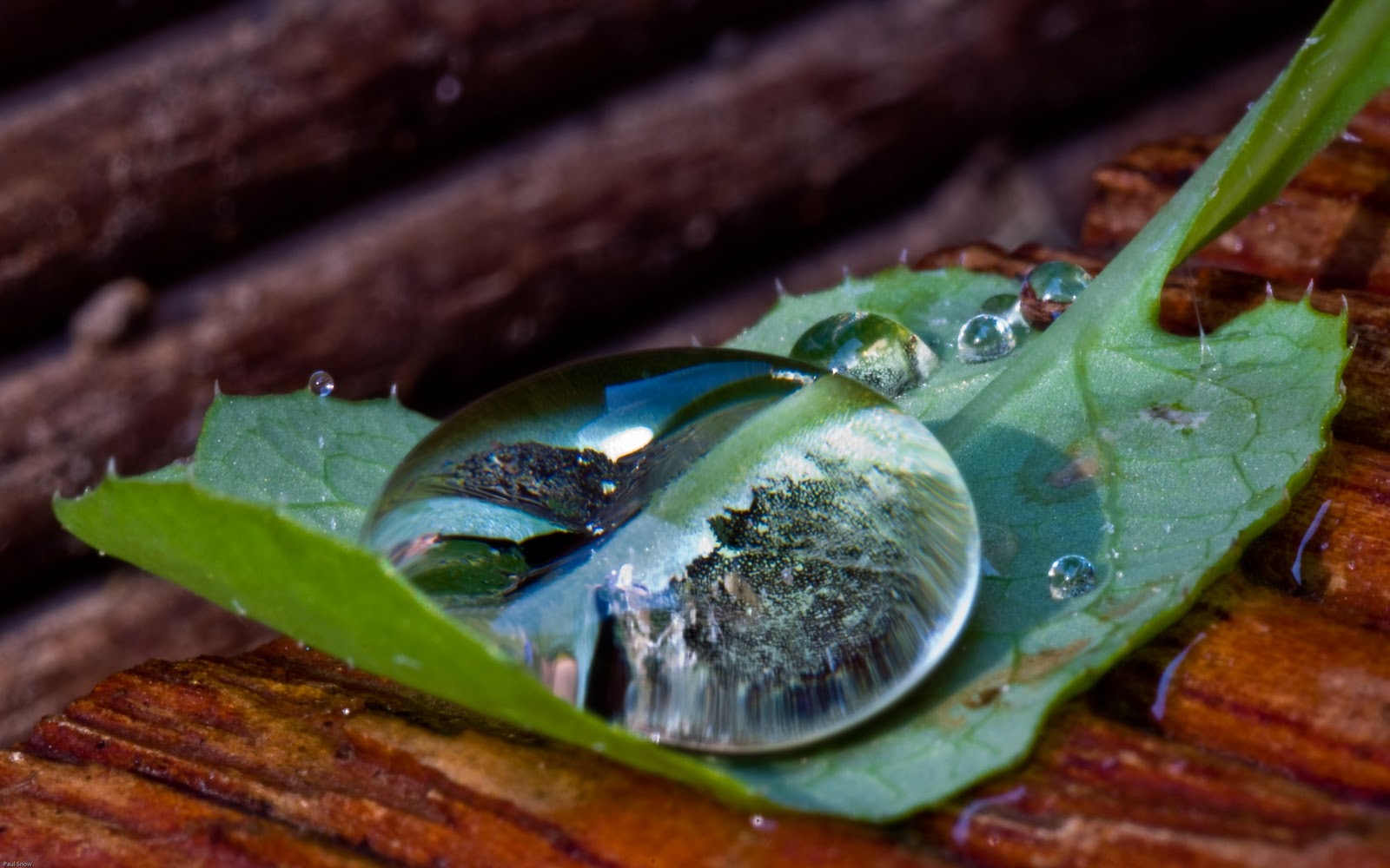 Água, L'eau, 水, Water WallpaperKleberusX