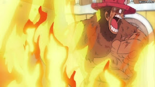 ワンピース アニメ 空島 スカイピア 162話 チョッパー Tony Tony Chopper | ONE PIECE Episode 162 Skypiea