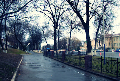 Ташкент дождь зима вечер Tashkent rain winter evening