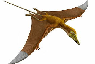 Gambar dinosaurus