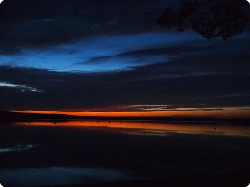 seliger_2011-07-14 23-09-10