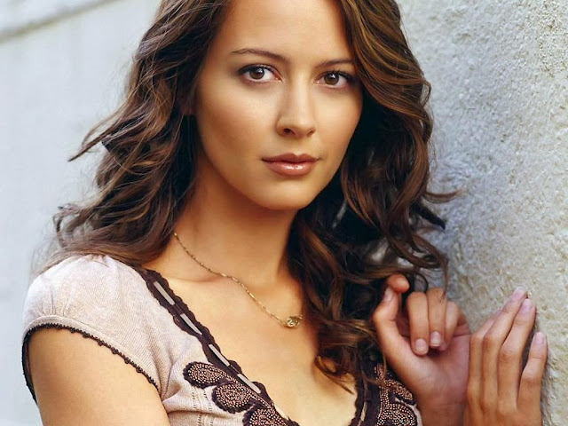 Amy Acker Wallpapers Free Download