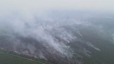 Hutan Desa Sekabuk dan Telayar Terbakar, Panglima TNI Kunjungi Karhutla di Anjongan