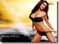 Carmen_Elec 1024x768) (18)