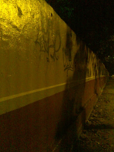 Pared del Conopoima en la noche de La Lagunita (El Hatillo, Caracas, Venezuela)