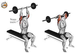 The Best Arm Workouts for Building Mass