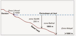 Macam-Macam Zona Laut Berdasarkan Letak dan Kedalamannya Lengkap Dengan Penjelasan