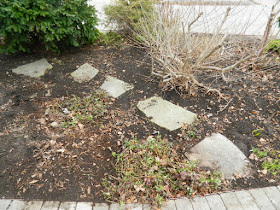Leslieville Front Yard Spring Cleanup After by Paul Jung Gardening Services--a Toronto Organic Gardening Company