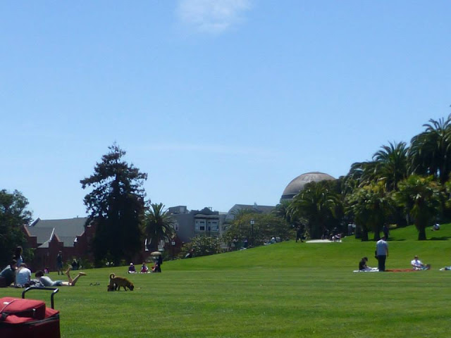 Dolores Park San Francisco