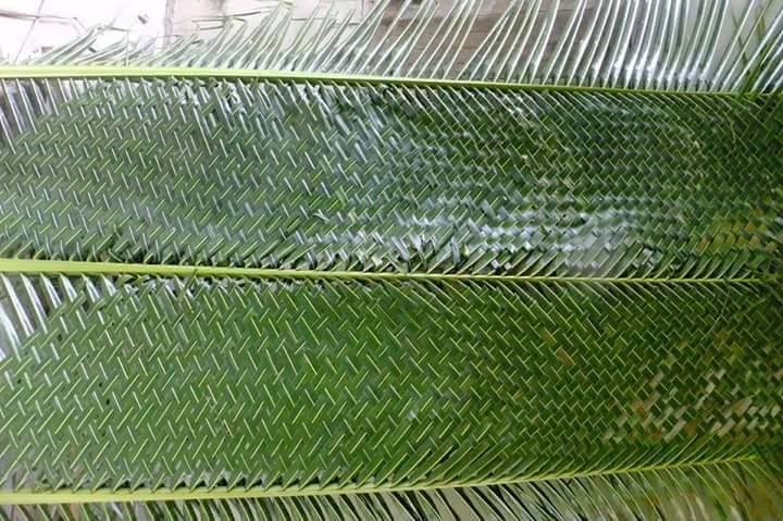 Membuat anyaman dari janur daun  kelapa  Kumpulan Kreasi 