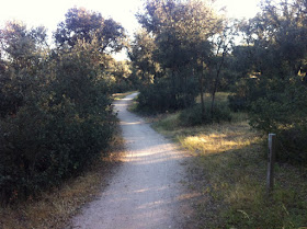 Ruta en bici del Anillo Verde a la Presa de El Pardo, mayo 2012