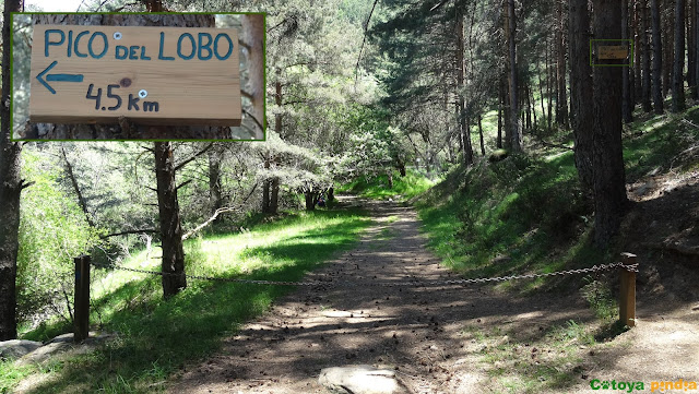 Ruta circular al Pico Lobo, techo de Guadalajara en la Sierra de Ayllón en el Sistema Central.