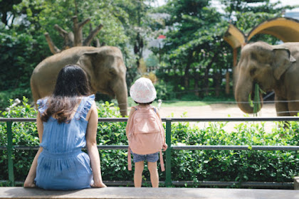 Tips Berkunjung ke Kebun Binatang Ragunan Bersama Keluarga