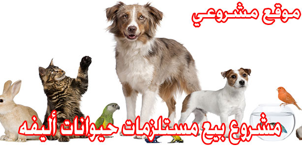 دراسه جدوي فكرة مشروع بيع مستلزمات حيوانات أليفه 2023