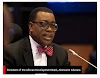 Restructuring: AfDB boss, Adesina proposes ‘United States of Nigeria’ | CABLE REPORTERS 