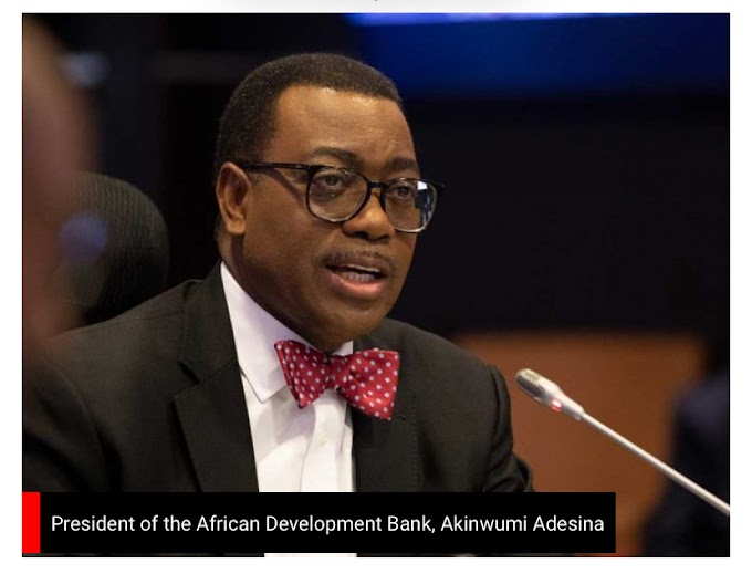 Restructuring: AfDB boss, Adesina proposes ‘United States of Nigeria’ | CABLE REPORTERS 