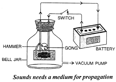 Selina Concise Physics Class 7 ICSE Solutions Chapter 6 – Sound