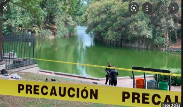 Justicia Divina. Ladrón termina electrocutado al robar cables en Chapultepec, así fue el triste momento