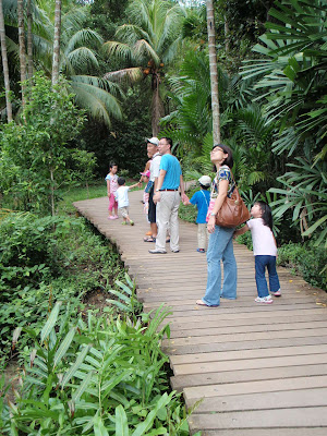 Adventures with the Naked Hermit Crabs: Last public walk for 2008