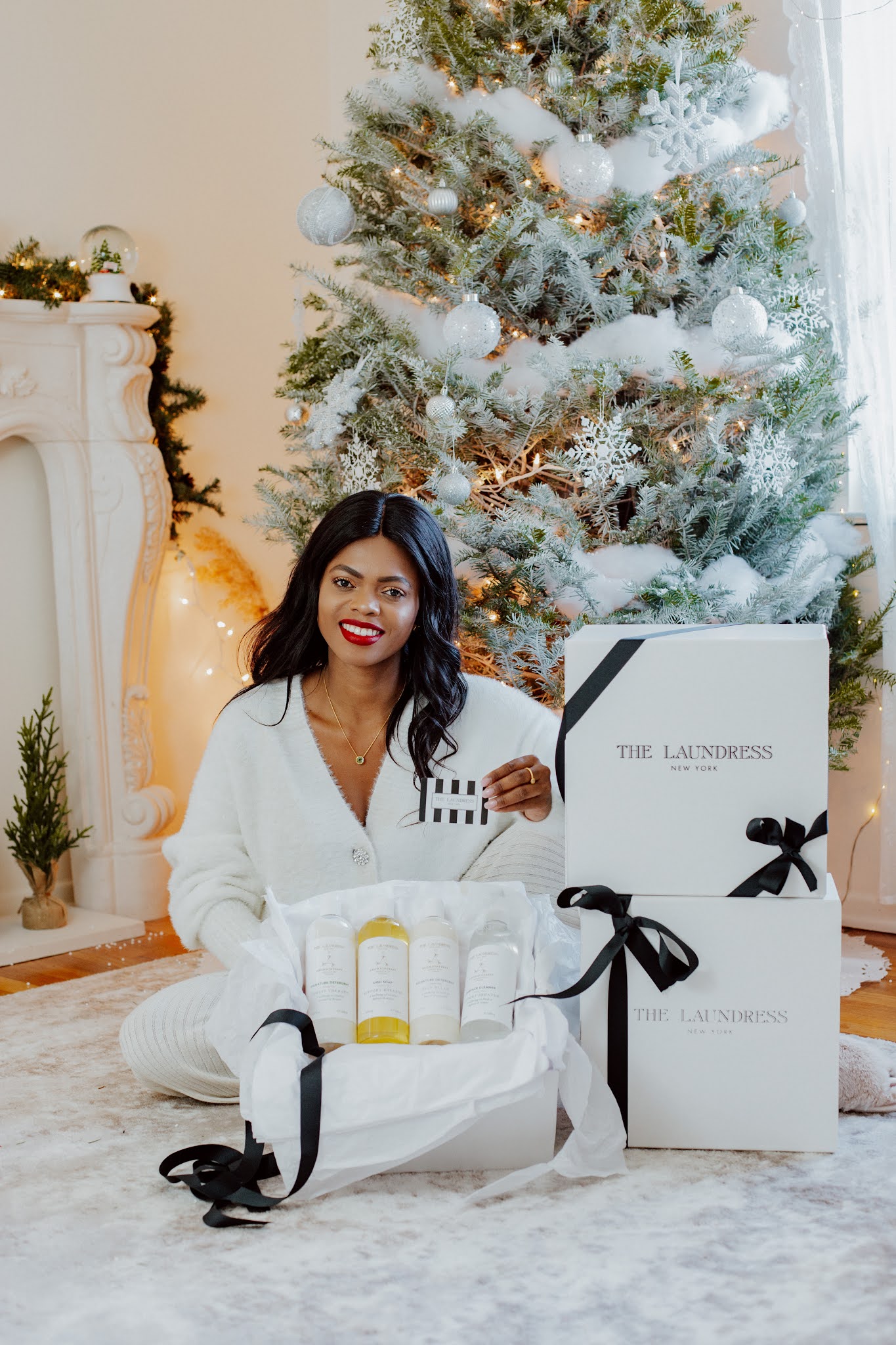 HOLIDAY GIVEAWAY** THE LAUNDRESS