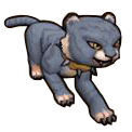 Grey Tabby Cat Cub - Pirate101 Hybrid Pet Guide