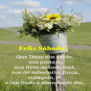 vaso de flores, natureza, céu, caminho