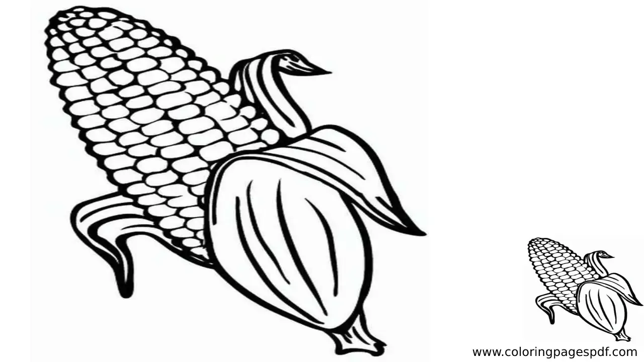 Coloring Page Of A Corn