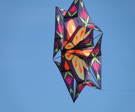 kite 020