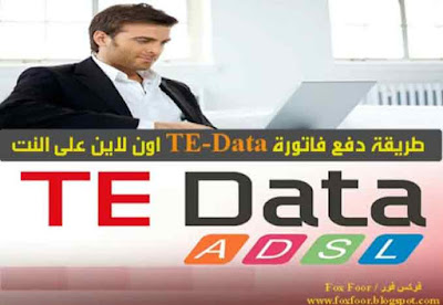 كيفيه دفع فاتورة تى اي داتا TE-Data اون لاين Online علي النت