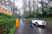 Anggota Tim SAR Sat Brimob Polda Jabar Cek Pohon Rawan Tumbang Di Jalan Raya Lembang   