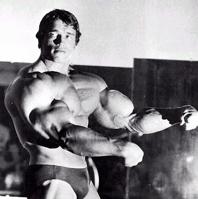 arnold schwarzenegger bodybuilding. At school, Schwarzenegger was