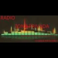 radio zona privada