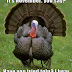 Thanksgiving Memes