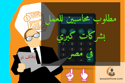 وظائف محاسبين في مصر | وظائف ناو 