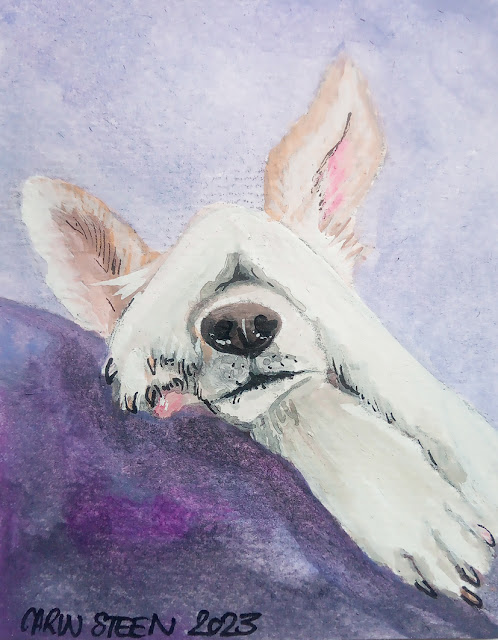 Pet Portrait by Carin Steen