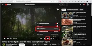 Menambahkan Subtitle Indonesia di YouTube PC