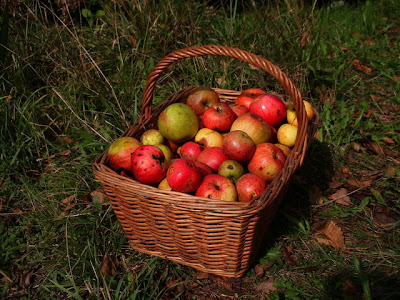 manzana de sidra alba hogar