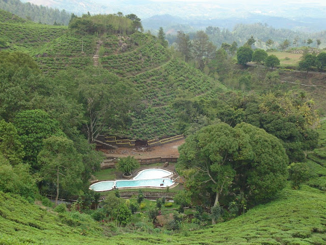 KEBUN JAMUS