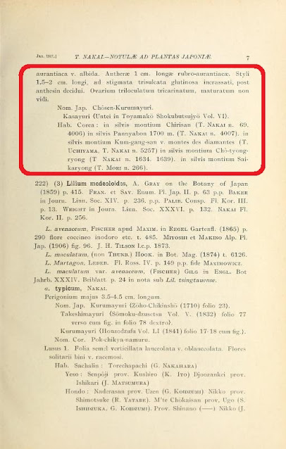 Описание лилии двурядной, сделанное ботаником Такэносин Накаи в 1917 году в The Botanical magazine