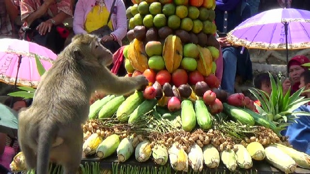  gunungan  buah  buahan kabar17 com 