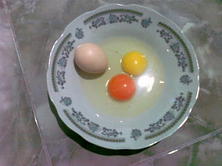 telur ayam arab berwarna kemerahan
