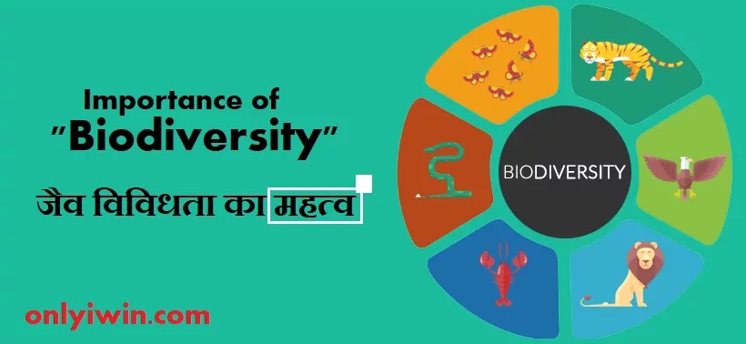 importance-of-biodiversity