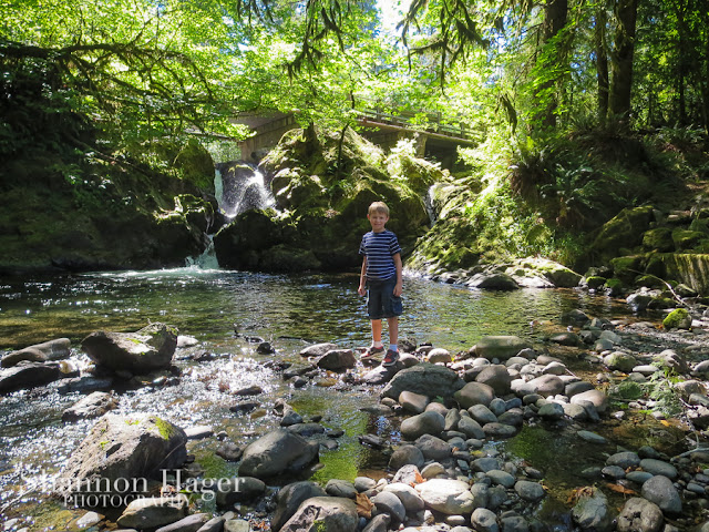 Shannon Hager Photography, Lake Quinault Forest