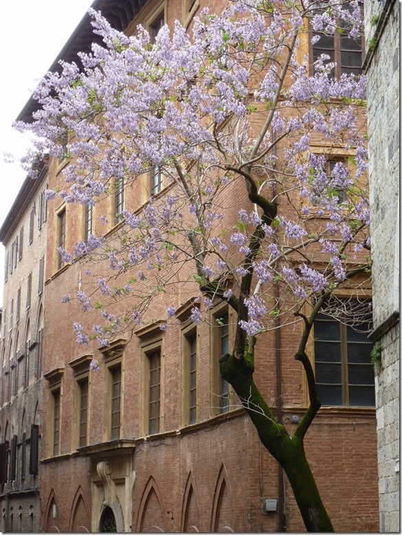 P1240697