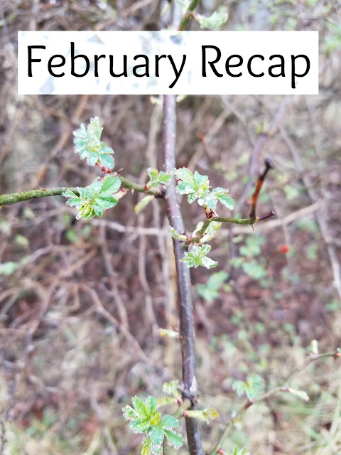 February Recap