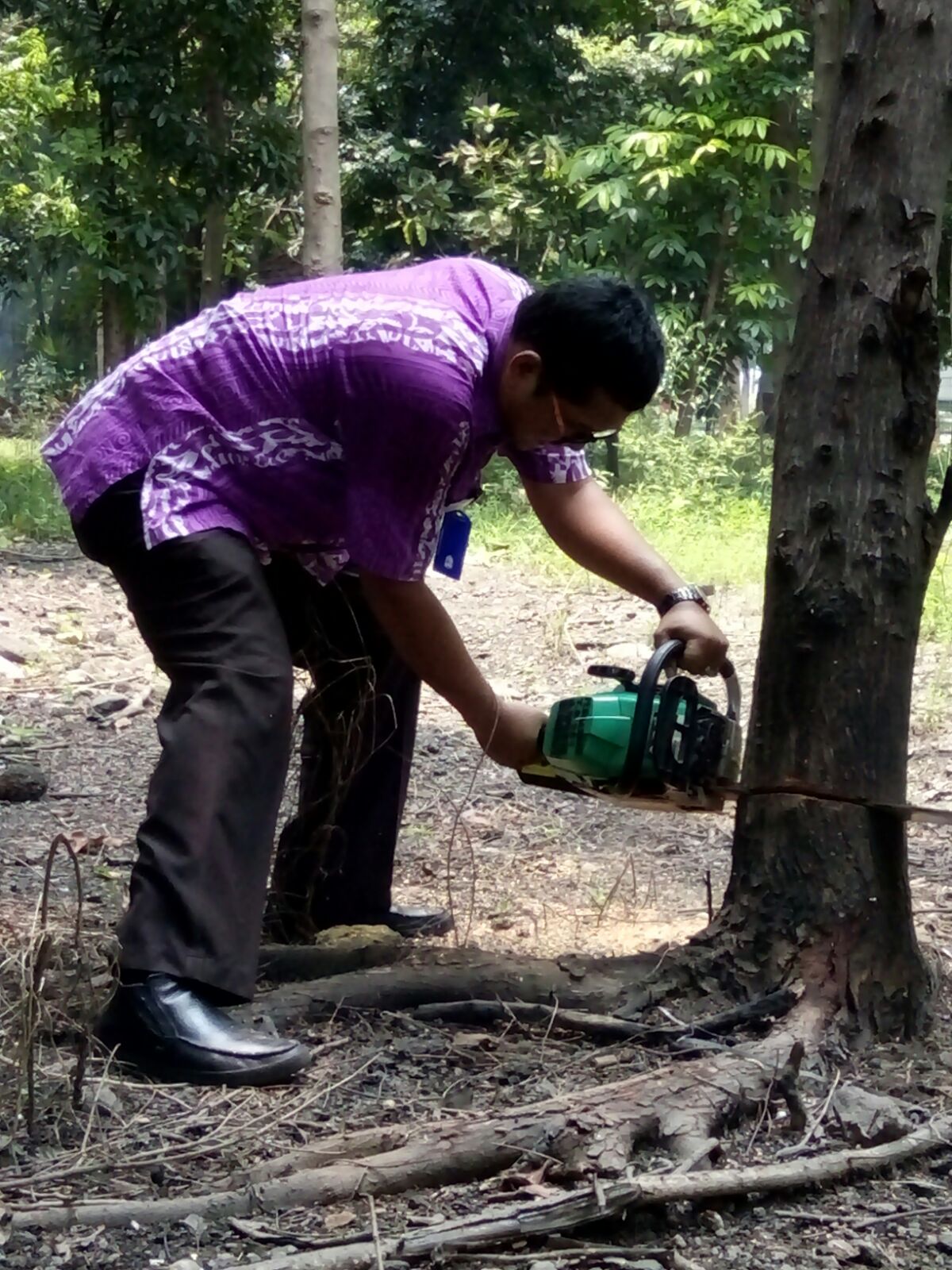 Gresik Dinas Perhubungan Kabupaten Gresik melakukan rabas rabas pohon perindang yang berdaun lebat serta menebang pohon kering di lokasi taman Terminal