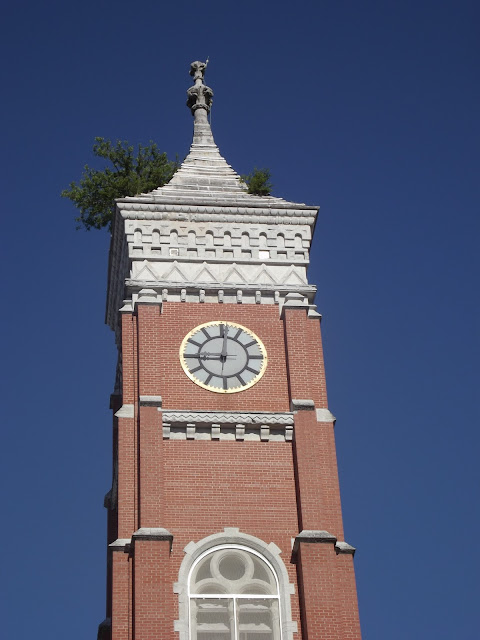 Greensburg Tower Tree