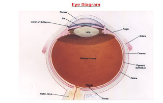 Eye Diagram 2
